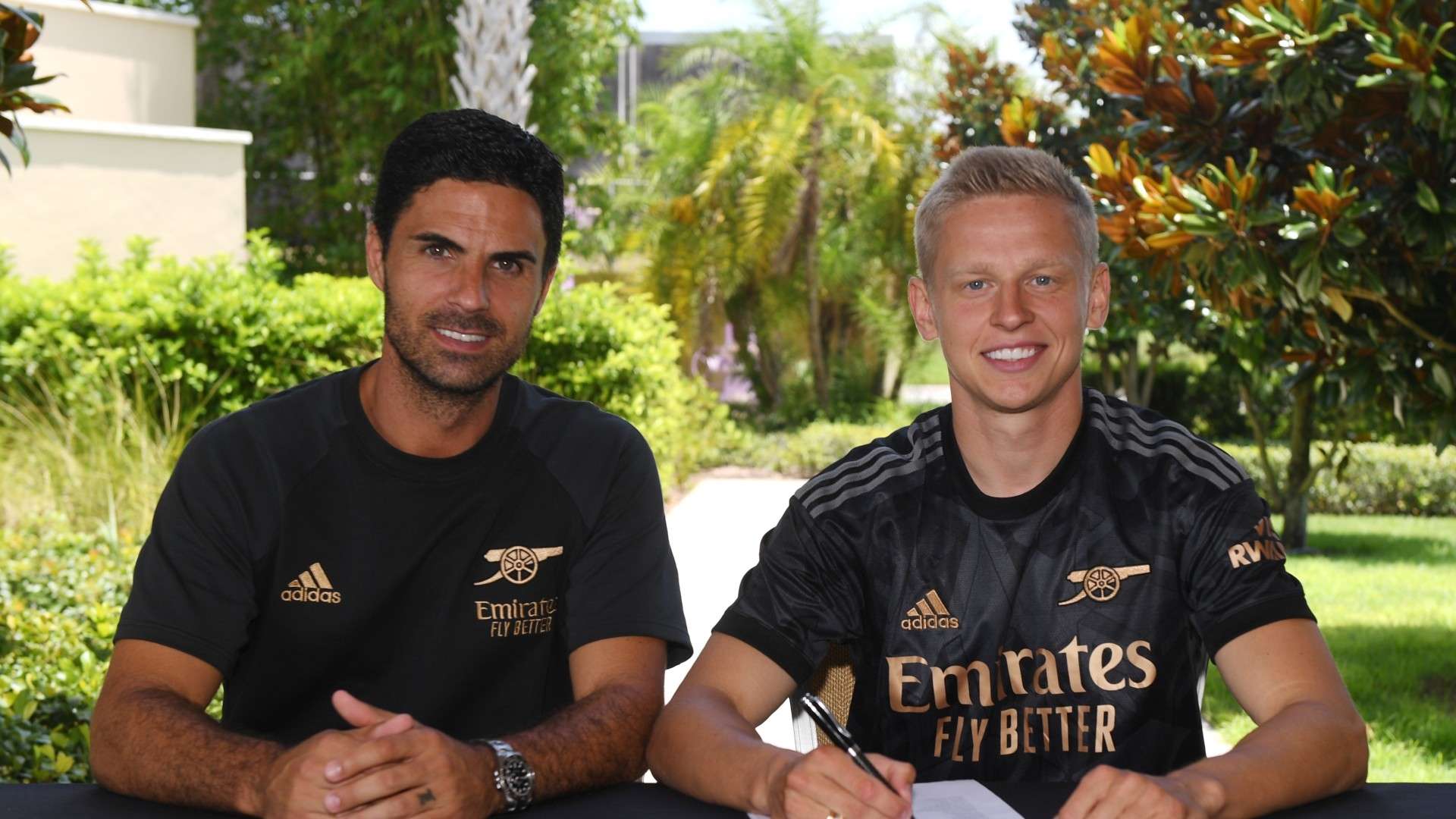 可以预见 可以预见