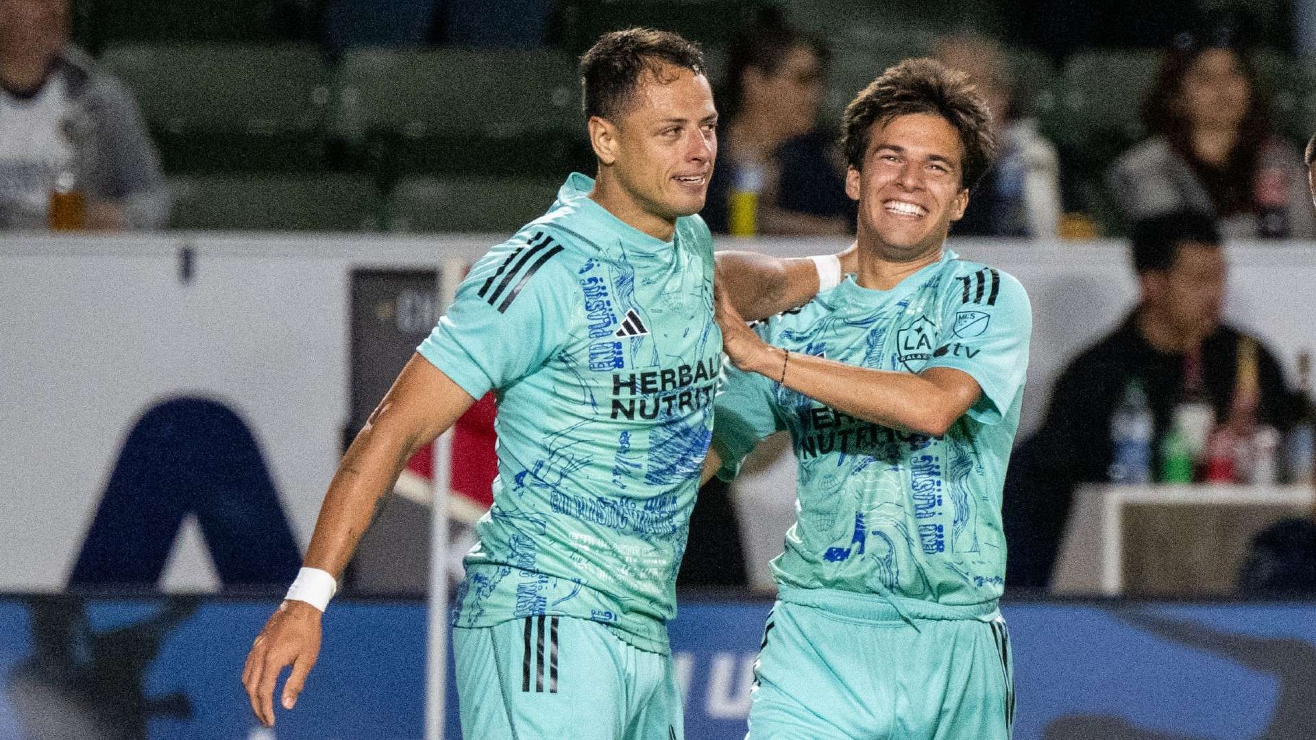 这也部分解 这也部分解